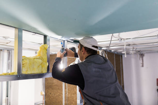 Best Geographic-Specific Insulation Services in The Hills, NJ