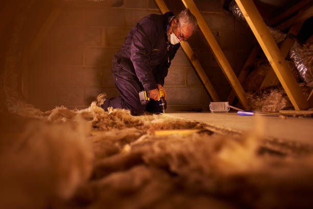 Best Insulation Maintenance and Repair in The Hills, NJ